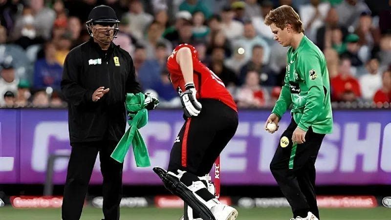 <strong>MCC added new ‘sub-section’ to Cricket Act</strong>